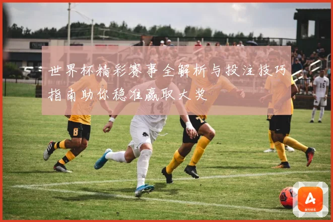世界杯精彩赛事全解析与投注技巧指南助你稳准赢取大奖